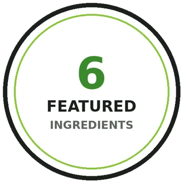 6 featured ingredients